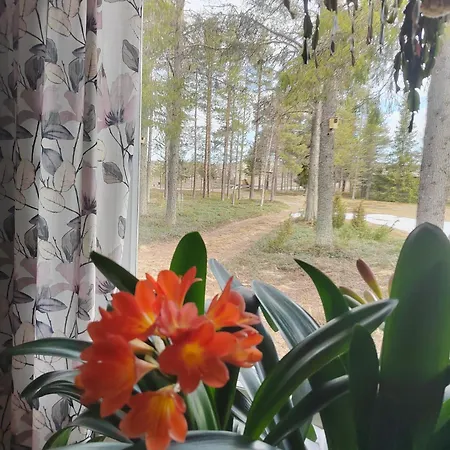 Postin Talo Casa vacanze *