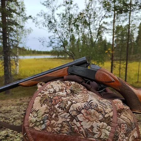 Postin Talo Holiday home Lokka