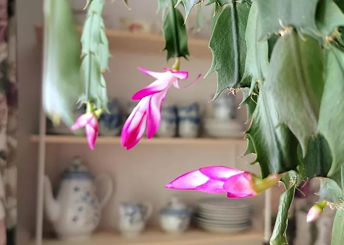 Holiday home Postin Talo Lokka