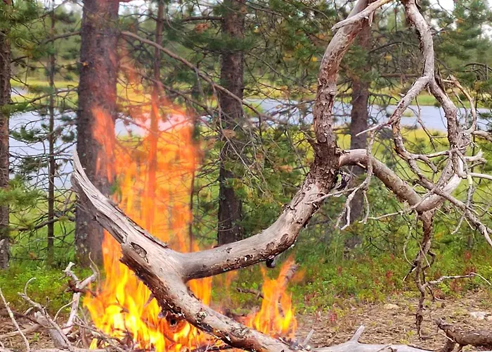 度假居 Postin Talo