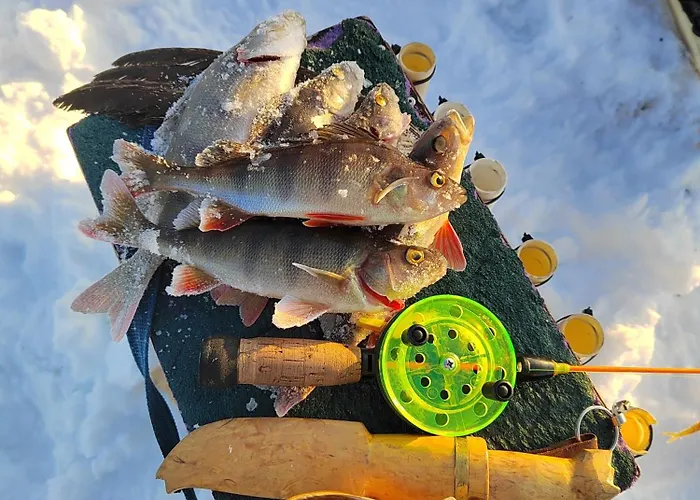 Postin Talo 度假居 Lokka